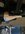 IMG_0004.jpeg