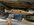 IMG_0006.jpeg