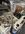 IMG_1867.jpeg