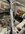 IMG_1873.jpeg