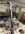IMG_1875.jpeg