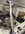 IMG_1886.jpeg