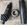 IMG_5873.jpeg