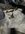 IMG_2367.jpeg