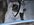 IMG_2369.jpeg