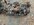 IMG_9662.jpeg