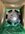 IMG_9666.jpeg