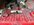 IMG_2380.jpeg
