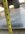 IMG_0012.jpeg