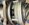 IMG_5883.jpeg