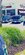 IMG_8109.jpeg