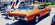 IMG_8090.jpeg