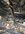 IMG_6066.jpeg