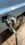 IMG_6932.jpeg