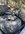 IMG_2032.jpeg