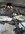 IMG_1938.jpeg