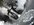 IMG_2958.jpeg