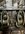IMG_2963.jpeg