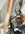 IMG_2399.jpeg