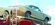 IMG_8200.jpeg