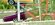 IMG_8212.jpeg