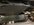 IMG_0020.jpeg
