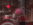 1745980251178.gif