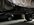 IMG_3794.jpeg