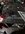 IMG_9670.jpeg