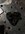 IMG_9679.jpeg