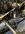 IMG_0033.jpeg