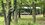 IMG_8197.jpeg