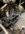 IMG_0040.jpeg