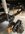 IMG_0041.jpeg
