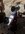 D2C92831-F1A0-4AF2-ABBE-88CED322E9DF.jpeg
