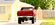 IMG_8416.jpeg
