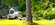 IMG_8414.jpeg