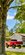 IMG_8415.jpeg
