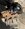 IMG_5900.jpeg