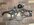 IMG_2022.jpeg