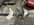 IMG_2007.jpeg