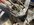 IMG_2008.jpeg