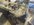 IMG_2010.jpeg