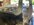 IMG_2016.jpeg