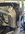 IMG_2017.jpeg