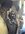 IMG_2018.jpeg
