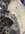 IMG_2021.jpeg