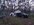 20250503_194245.jpg