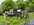 IMG_6235.jpeg