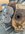 IMG_6300.jpeg